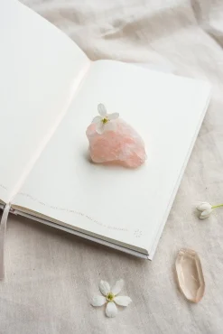 Musings from the Moon Books|A5 Journal