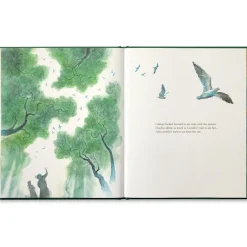 Compendium Books|Noticing