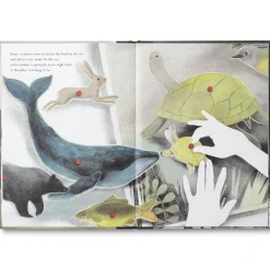 Compendium Books|You Belong Here